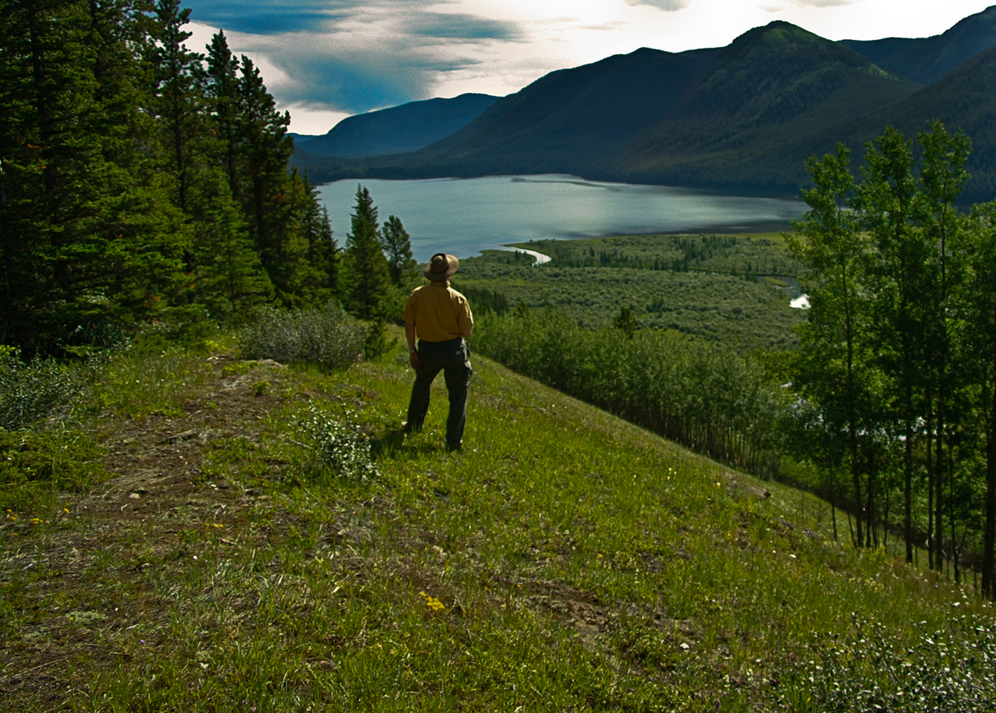 Willmore Wilderness Park, Rocky Mountains, Alberta, Canada